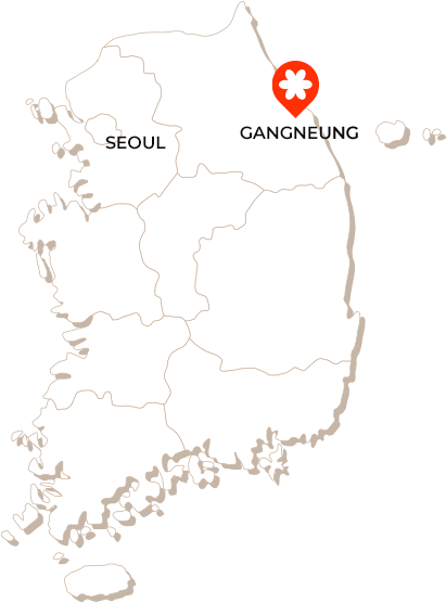 강릉 지도